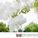 Wedding by Tomas Liewald Fotografie