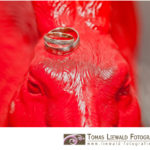 Wedding by Tomas Liewald Fotografie